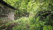 Stavebn� pozemek 770 m2 u lesa