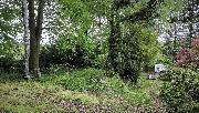 Stavebn� pozemek 770 m2 u lesa