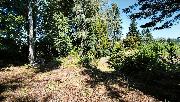 Stavebn� pozemek 770 m2 u lesa