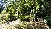 Stavebn� pozemek 770 m2 u lesa