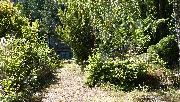 Stavebn� pozemek 770 m2 u lesa