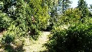 Stavebn� pozemek 770 m2 u lesa