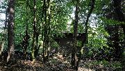 Stavebn� pozemek 770 m2 u lesa