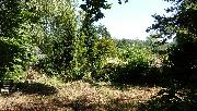 Stavebn� pozemek 770 m2 u lesa