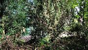 Stavebn� pozemek 770 m2 u lesa