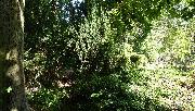 Stavebn� pozemek 770 m2 u lesa