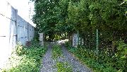 Stavebn� pozemek 770 m2 u lesa