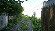 Stavebn� pozemek 770 m2 u lesa
