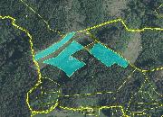 Lesn� pozemky k.�. Prlov