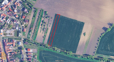 Obr�zek nen� k dispozici.