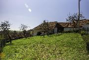 Prodej rodinnho domu 128 m2, pozemek 1192 m2, Chlum u Letovic