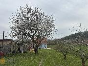 Prodej rodinnho domu 3+kk s monost rozen, pozemek 1082 m2, Sentice
