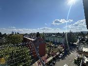 Pron�jem bytu 3+1, 74m2, balkon, sklep, ul. Svatopluka �echa, Kr�lovo Pole