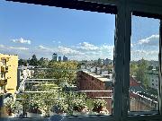 Pron�jem bytu 3+1, 74m2, balkon, sklep, ul. Svatopluka �echa, Kr�lovo Pole