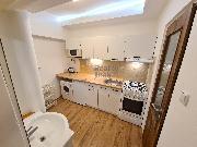 Pronjem cihlovho bytu 1+1, 24 m2, dvorek, sklep, ul. Vodn, Star Brno