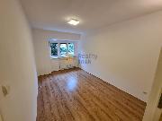 Pronjem cihlovho bytu 1+1, 24 m2, dvorek, sklep, ul. Vodn, Star Brno