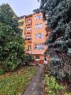 Pronjem cihlovho bytu 1+1, 24 m2, dvorek, sklep, ul. Vodn, Star Brno