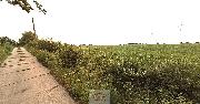 Prodej orn� p�dy 4.355 m2, Horn� Such�