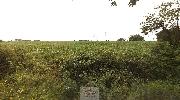 Prodej orn� p�dy 4.355 m2, Horn� Such�