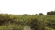 Prodej orn� p�dy 4.355 m2, Horn� Such�