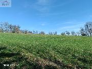 Prodej pozemku 6.598 m2, Oznice