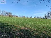 Prodej pozemku 6.598 m2, Oznice