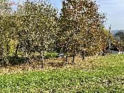 Prodej pozemku ke stavb rekrean chaty 6.435 m2, Mikulvka