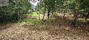 Prodej pozemku ke stavb rekrean chaty 6.435 m2, Mikulvka