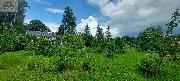 Prodej RD Bartoovice, pozemky 8.120 m2
