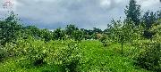 Prodej RD Bartoovice, pozemky 8.120 m2