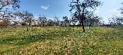 Prodej stavebn�ho pozemku 1563 m2, Pern� u Vala�sk�ho Mezi����