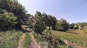 Prodej stavebn�ho pozemku 21.099 m2, Ro�nov pod Radho�t�m