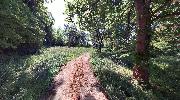 Prodej stavebn�ho pozemku 21.099 m2, Ro�nov pod Radho�t�m