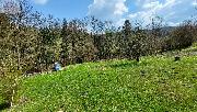 Prodej stavebnho pozemku 830 m2, Vesel, Zaov