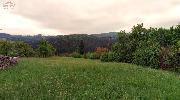 Proej stavebn�ho pozemku 2166 m2 Mikul�vka