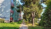 Pron�jem bytu 1+kk Vala�sk� Mezi����, ul. Vset�nsk�