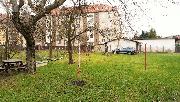 Pronjem cihlovho bytu 2+1 Valask Mezi, ul. Nerudova