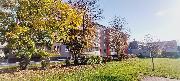 Pronjem cihlovho bytu 2+kk s komorou a lodi, Vsetn, ul. Drustevn 
