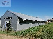 Pronjem haly 820 m2, Valask Mezi