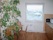 Pronjem kancele 24 m2, Valask Mezi, ul. Hranick