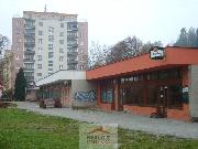 Pron�jem obchodn�ch prostor 130 m2, Vset�n