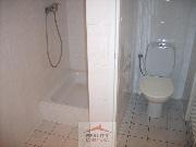 Pron�jem obchodn�ch prostor 130 m2, Vset�n