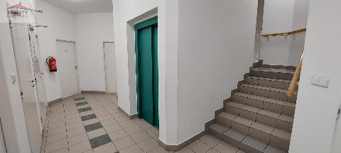 Obr�zek nen� k dispozici.