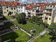 IMG_8637.jpeg