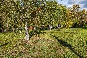 Prodej bytu 3+1/B, 82m2, ul Pato�kova, Praha 6