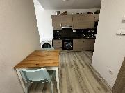 Pronjem bytu 1+kk, 53m2, ul. Rumunsk Praha 2