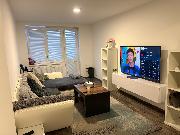 Pron�jem bytu 2+1/B. 54m2, ul. Gr�grova, Chomutov