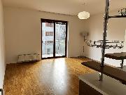 Pronjem bytu 4kk, Praha 6 - Dejvice