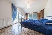 Pron�jem RD 6+kk, 260m2, zahrada 960m2, ul. Na V�slun�, Tuchom��ice