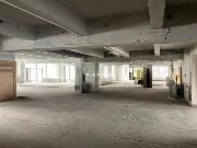 Pronjem 1000 - 7000m2 v 7 patrech komernch prostor Krlv dvr-Beroun s dobrou obslunost